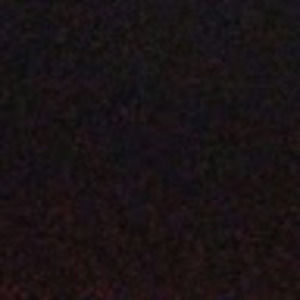 Meet your Posher, Jennie